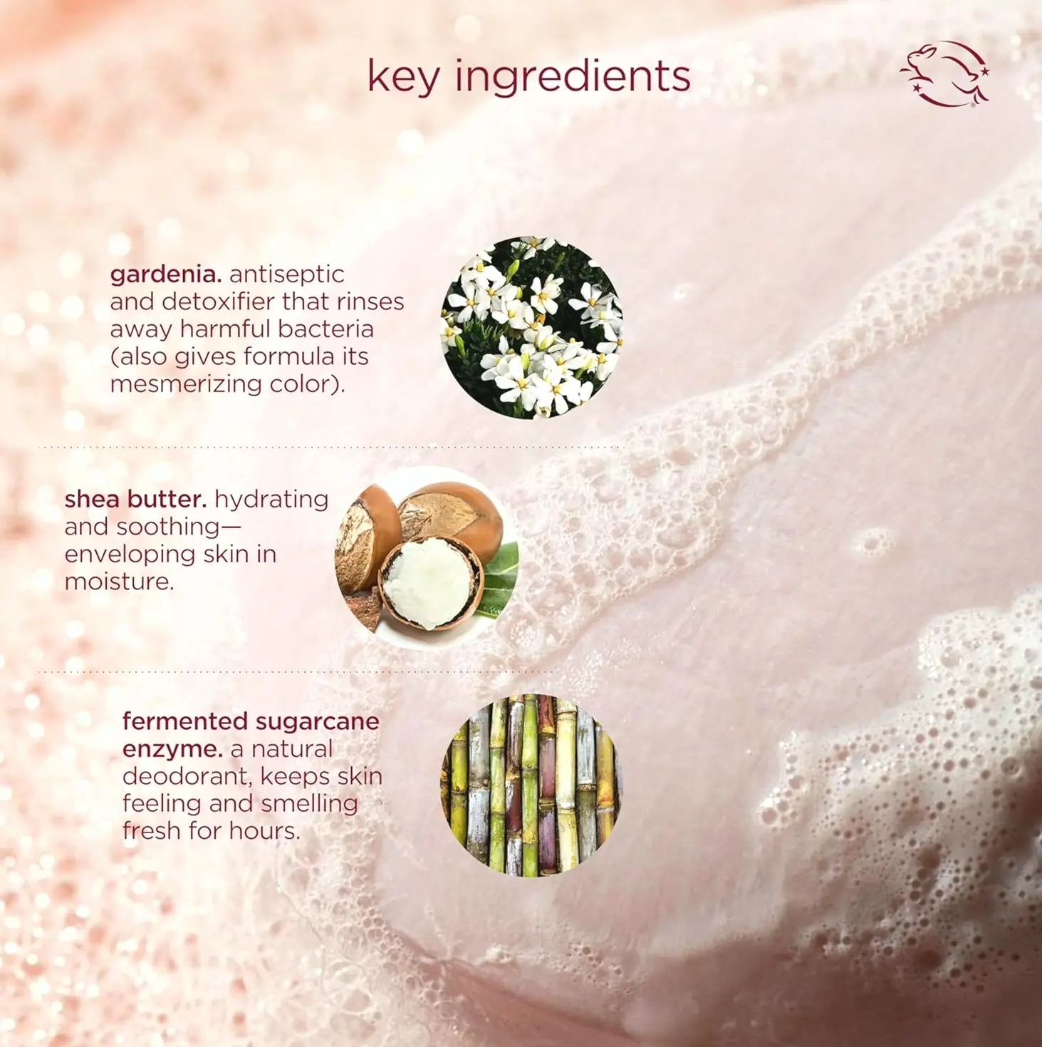 HANNI Cocoon Cleansing Solution