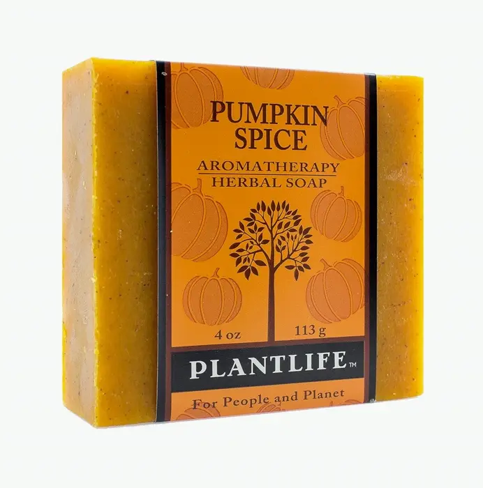 Plant-based Pumpkin Spice Soap Bar - 4oz Soother